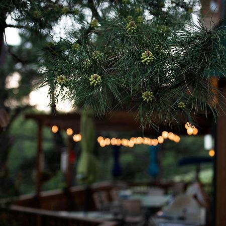 Coyote Blues Village Bed & Breakfast Silver City Exterior foto